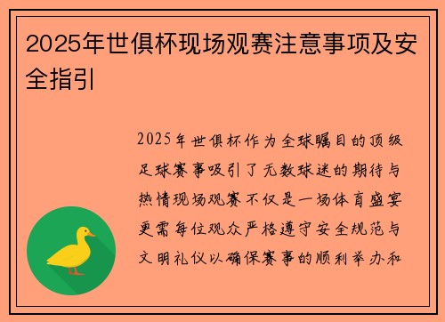 2025年世俱杯现场观赛注意事项及安全指引
